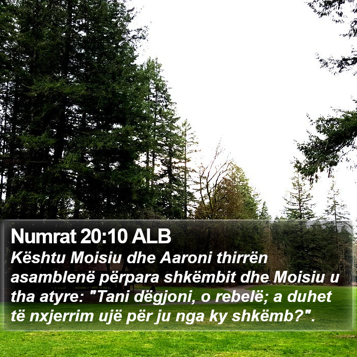Numrat 20:10 ALB Bible Study