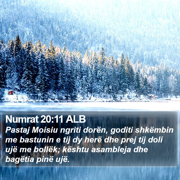 Numrat 20:11 ALB Bible Study