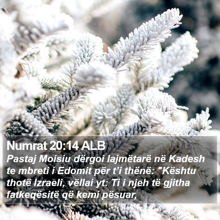 Numrat 20:14 ALB Bible Study