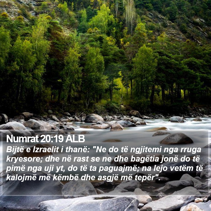 Numrat 20:19 ALB Bible Study