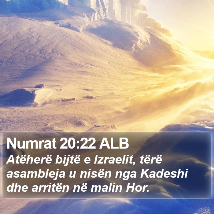 Numrat 20:22 ALB Bible Study