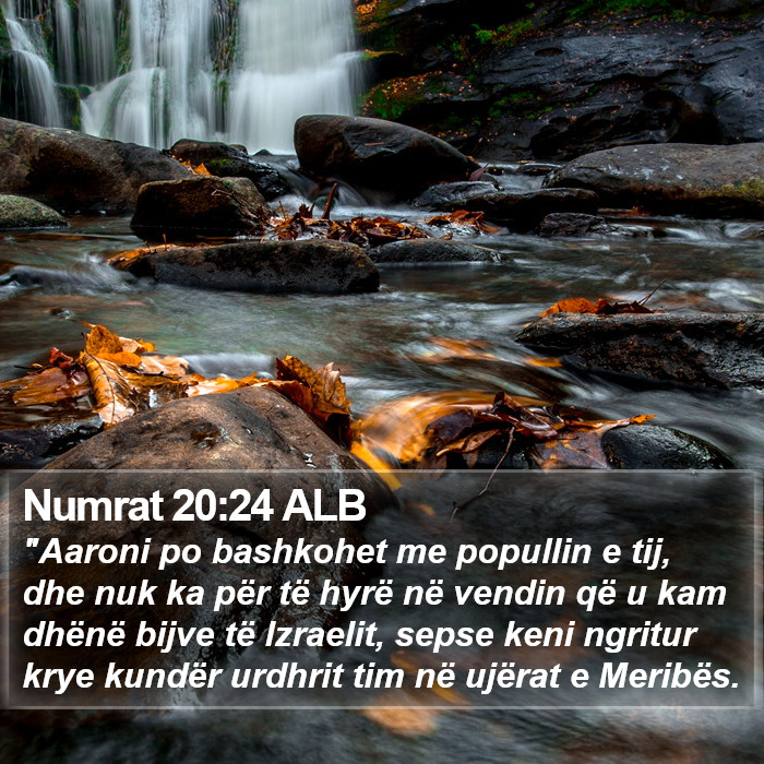 Numrat 20:24 ALB Bible Study