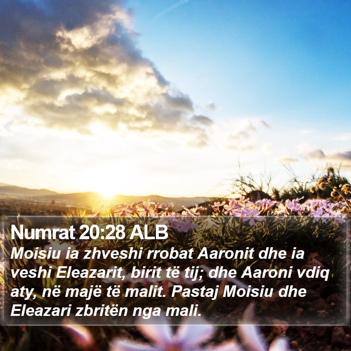 Numrat 20:28 ALB Bible Study