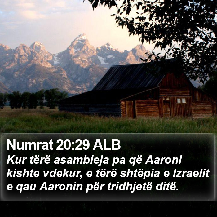 Numrat 20:29 ALB Bible Study