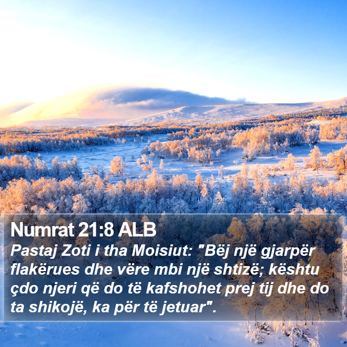 Numrat 21:8 ALB Bible Study