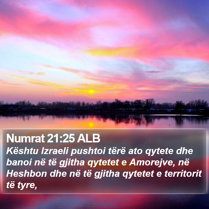 Numrat 21:25 ALB Bible Study