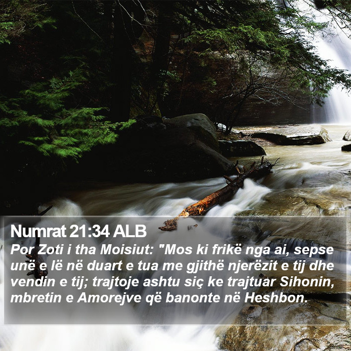 Numrat 21:34 ALB Bible Study