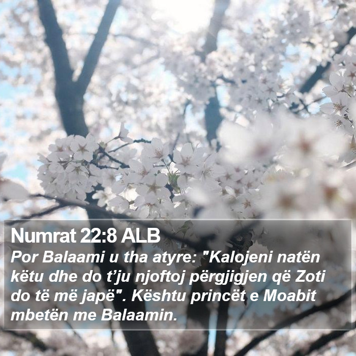 Numrat 22:8 ALB Bible Study