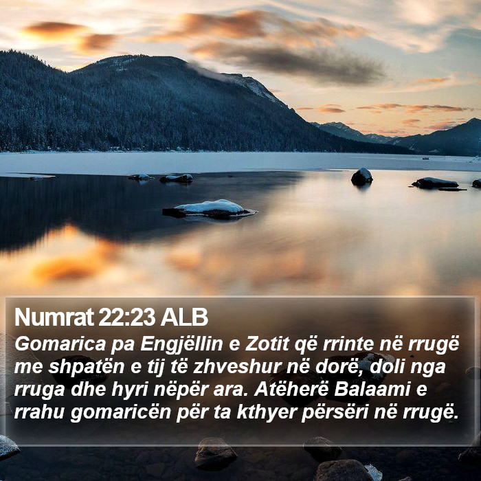 Numrat 22:23 ALB Bible Study