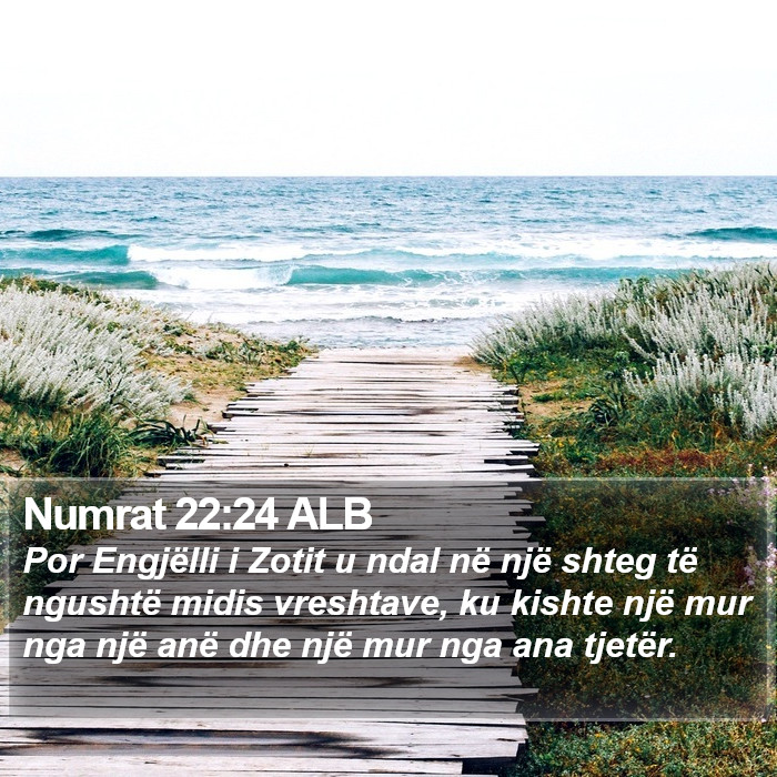 Numrat 22:24 ALB Bible Study