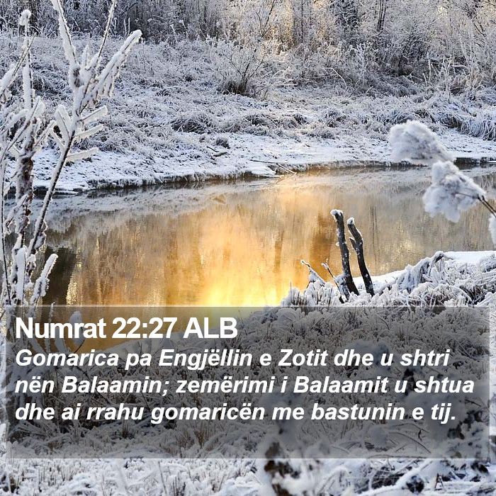 Numrat 22:27 ALB Bible Study