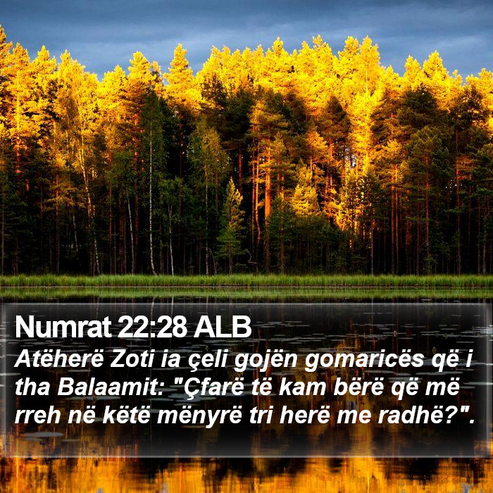 Numrat 22:28 ALB Bible Study