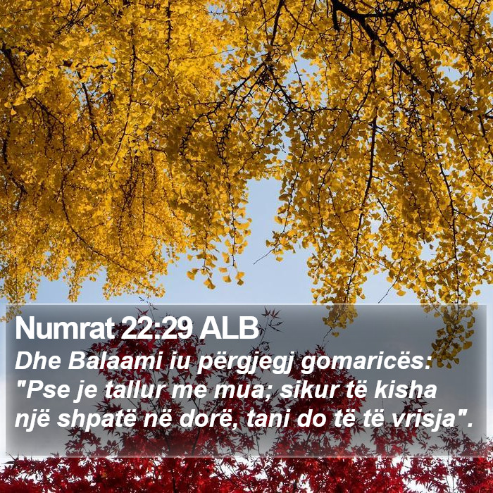 Numrat 22:29 ALB Bible Study