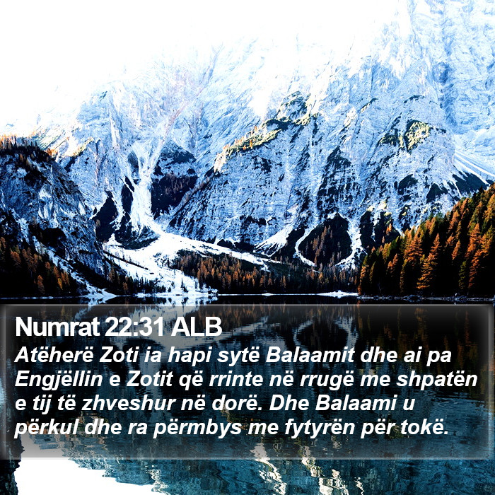 Numrat 22:31 ALB Bible Study