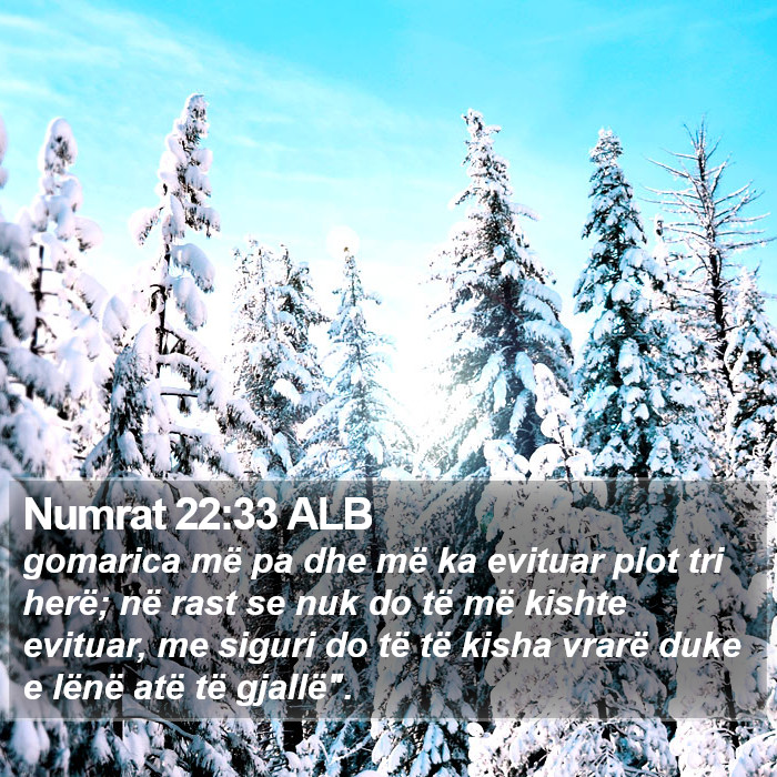 Numrat 22:33 ALB Bible Study