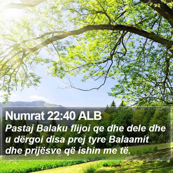 Numrat 22:40 ALB Bible Study