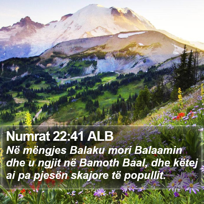 Numrat 22:41 ALB Bible Study