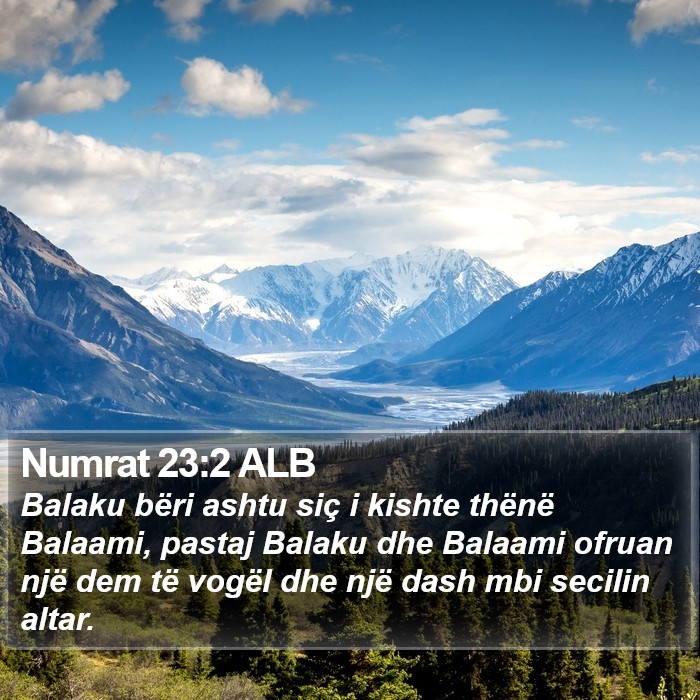 Numrat 23:2 ALB Bible Study