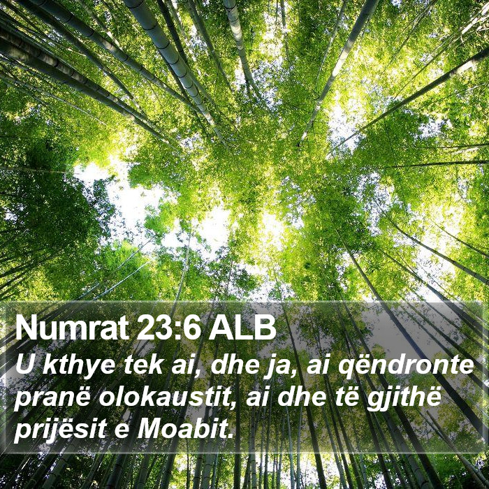 Numrat 23:6 ALB Bible Study