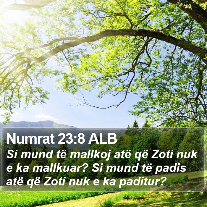 Numrat 23:8 ALB Bible Study