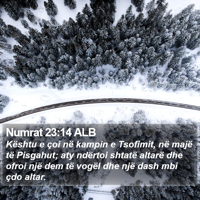 Numrat 23:14 ALB Bible Study