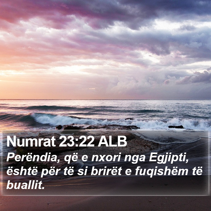 Numrat 23:22 ALB Bible Study