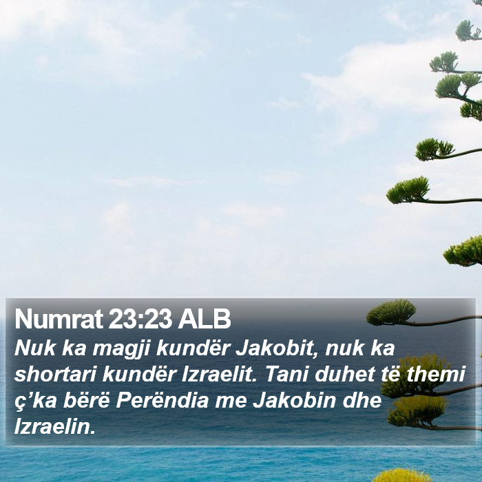 Numrat 23:23 ALB Bible Study