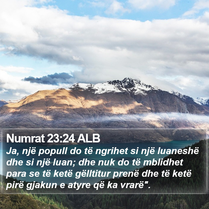 Numrat 23:24 ALB Bible Study