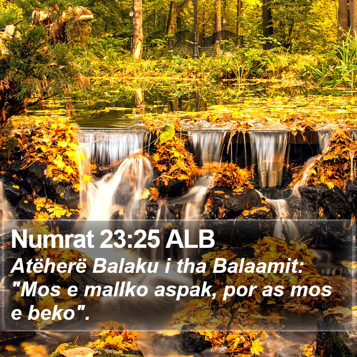 Numrat 23:25 ALB Bible Study