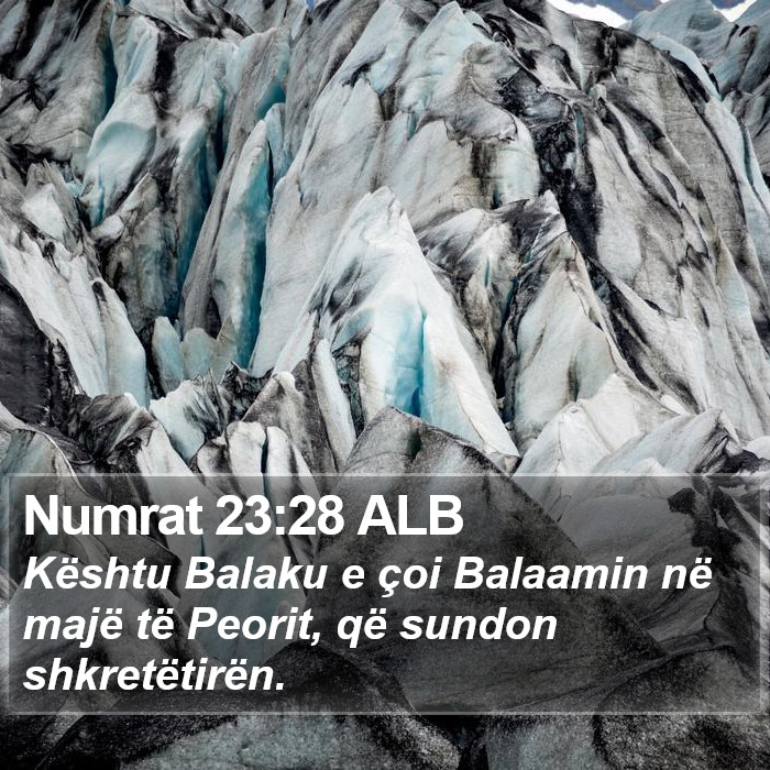 Numrat 23:28 ALB Bible Study