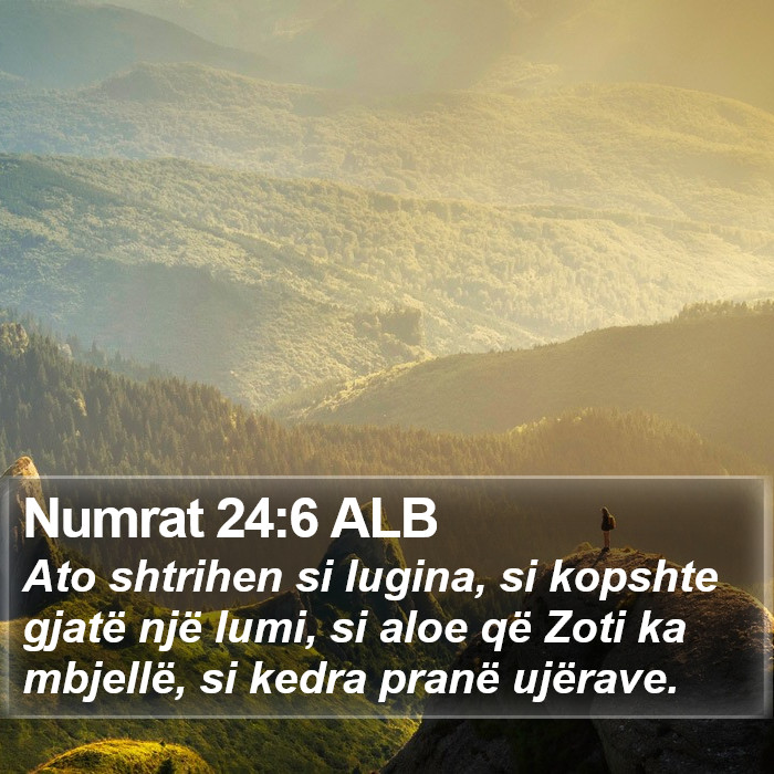 Numrat 24:6 ALB Bible Study