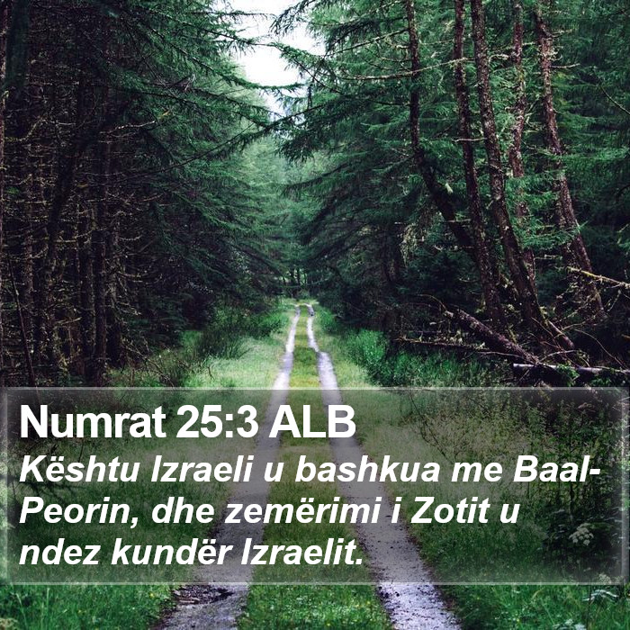 Numrat 25:3 ALB Bible Study