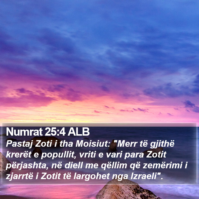 Numrat 25:4 ALB Bible Study