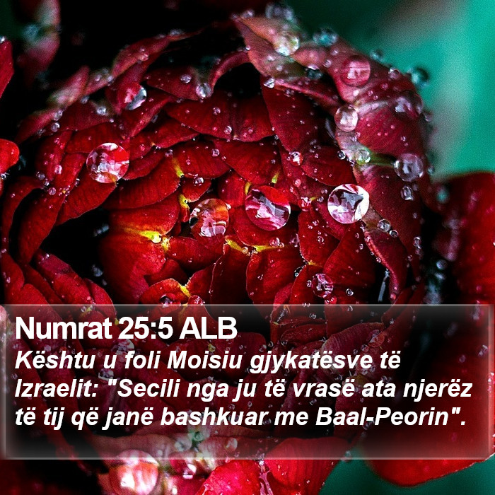 Numrat 25:5 ALB Bible Study