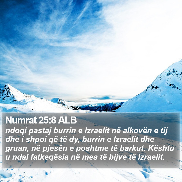 Numrat 25:8 ALB Bible Study