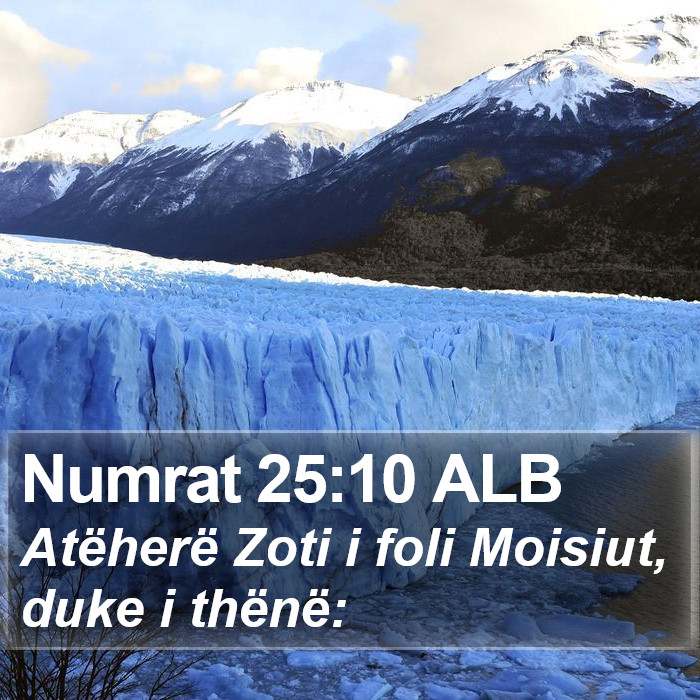 Numrat 25:10 ALB Bible Study