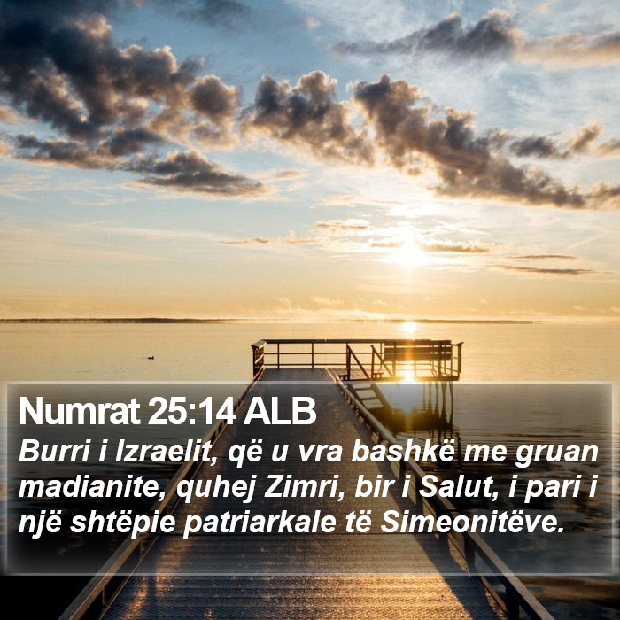 Numrat 25:14 ALB Bible Study