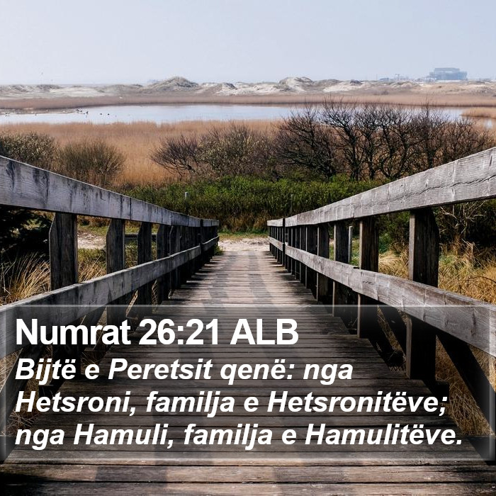 Numrat 26:21 ALB Bible Study