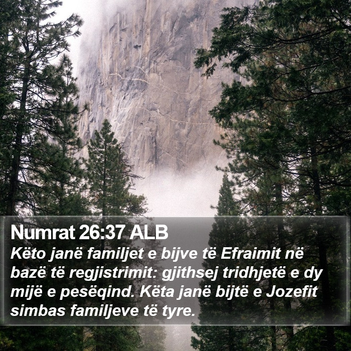 Numrat 26:37 ALB Bible Study