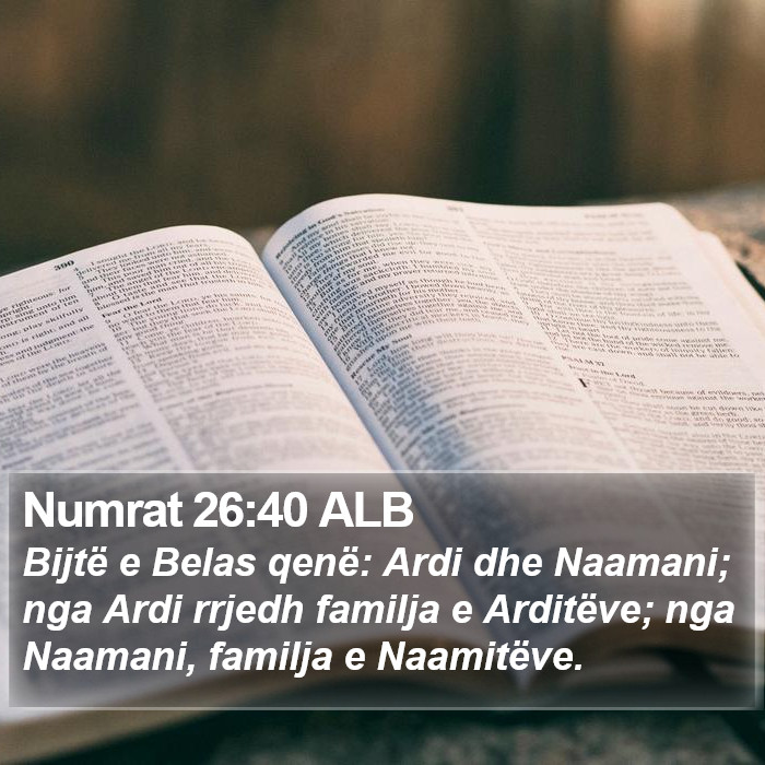 Numrat 26:40 ALB Bible Study