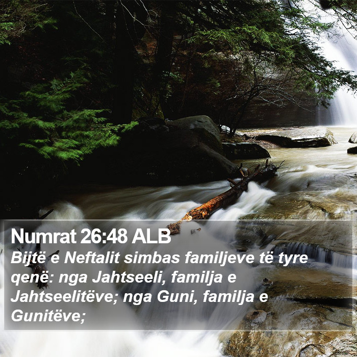 Numrat 26:48 ALB Bible Study