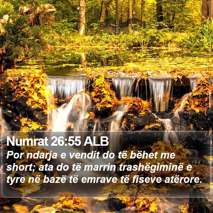 Numrat 26:55 ALB Bible Study