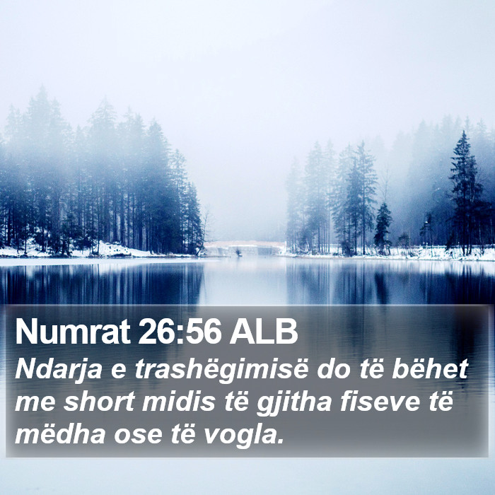 Numrat 26:56 ALB Bible Study