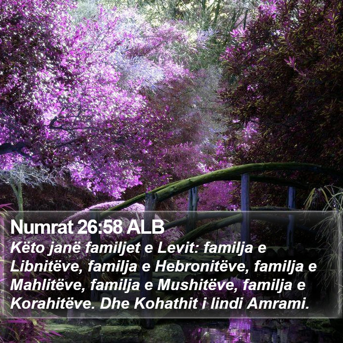 Numrat 26:58 ALB Bible Study