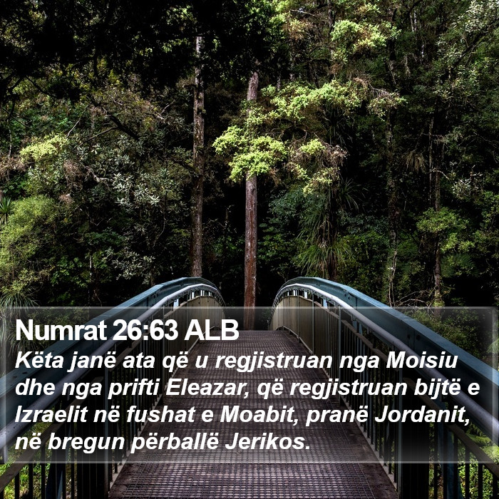 Numrat 26:63 ALB Bible Study