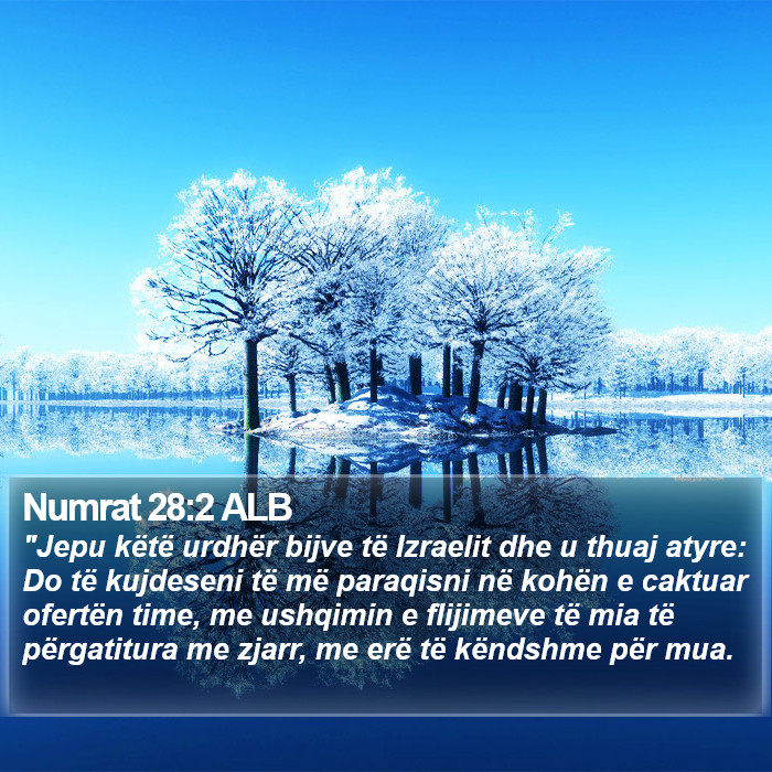 Numrat 28:2 ALB Bible Study