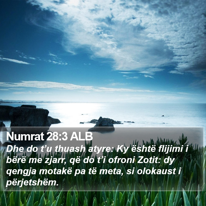 Numrat 28:3 ALB Bible Study