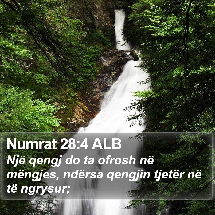 Numrat 28:4 ALB Bible Study