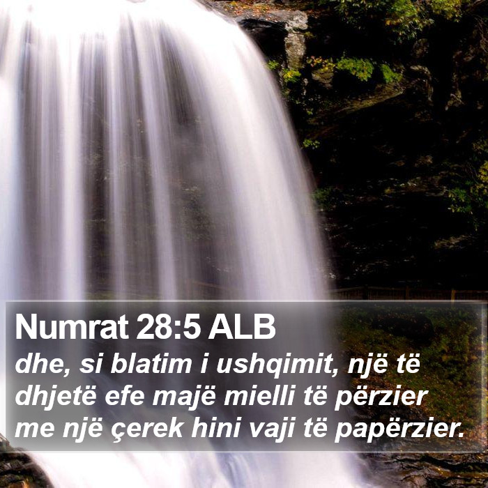 Numrat 28:5 ALB Bible Study