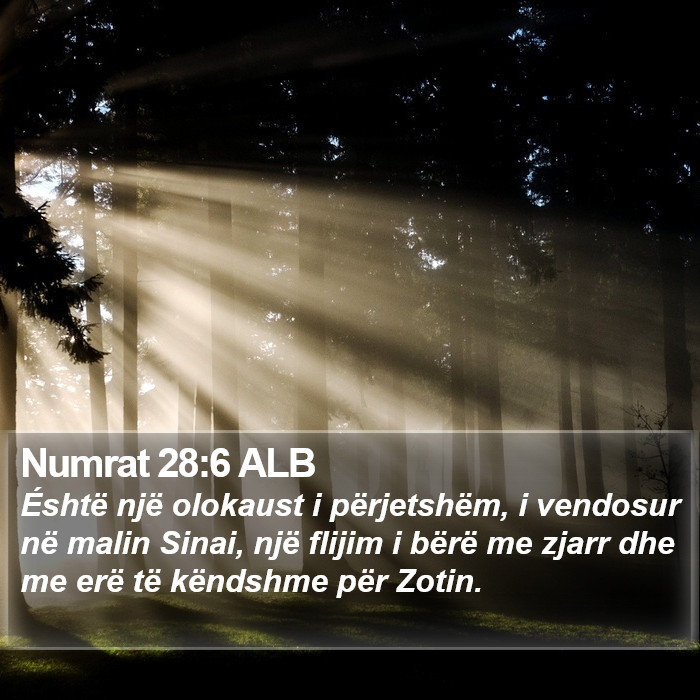 Numrat 28:6 ALB Bible Study